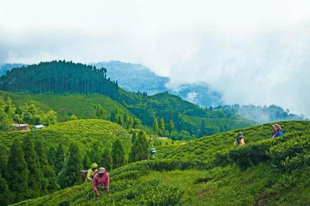 Hotel Central View - Darjeeling Darjeeling  Exteriör bild